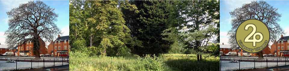 Header img 6